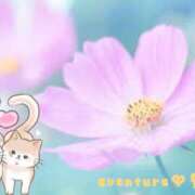 ヒメ日記 2025/09/20 11:01 投稿 菅野（カンノ） アバンチュール(五反田)