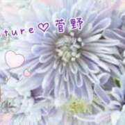 ヒメ日記 2025/10/09 18:16 投稿 菅野（カンノ） アバンチュール(五反田)