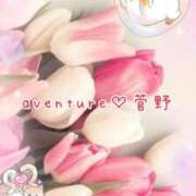 ヒメ日記 2025/10/10 12:16 投稿 菅野（カンノ） アバンチュール(五反田)