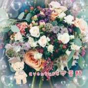 ヒメ日記 2025/10/16 19:31 投稿 菅野（カンノ） アバンチュール(五反田)