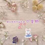 ヒメ日記 2025/11/11 23:46 投稿 菅野（カンノ） アバンチュール(五反田)