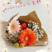 ヒメ日記 2025/11/12 10:16 投稿 菅野（カンノ） アバンチュール(五反田)