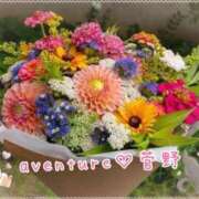 ヒメ日記 2025/11/15 10:01 投稿 菅野（カンノ） アバンチュール(五反田)