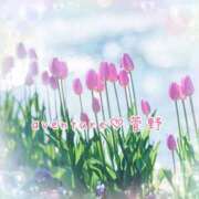 ヒメ日記 2026/01/28 11:16 投稿 菅野（カンノ） アバンチュール(五反田)