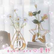 ヒメ日記 2026/01/31 10:01 投稿 菅野（カンノ） アバンチュール(五反田)