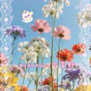 ヒメ日記 2026/02/03 11:46 投稿 菅野（カンノ） アバンチュール(五反田)