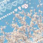 ヒメ日記 2026/02/19 10:46 投稿 菅野（カンノ） アバンチュール(五反田)