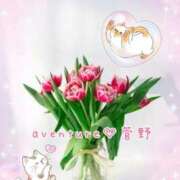 ヒメ日記 2026/03/05 11:46 投稿 菅野（カンノ） アバンチュール(五反田)