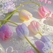 ヒメ日記 2026/03/29 11:16 投稿 菅野（カンノ） アバンチュール(五反田)