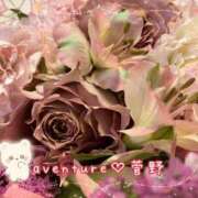 ヒメ日記 2026/09/30 00:01 投稿 菅野（カンノ） アバンチュール(五反田)