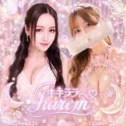 星井梨花 🐱キキララ🐰ハーレム💓 白夜