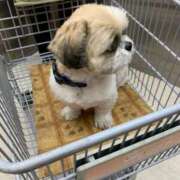 ヒメ日記 2025/03/18 17:56 投稿 星野　そら 熟女パラダイス池袋店(カサブランカグループ)