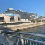 ヒメ日記 2025/05/10 13:01 投稿 星野　そら 熟女パラダイス池袋店(カサブランカグループ)