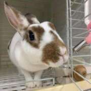 ヒメ日記 2025/05/17 11:33 投稿 星野　そら 熟女パラダイス池袋店(カサブランカグループ)