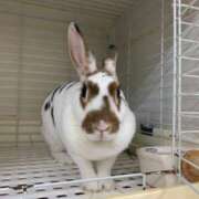 ヒメ日記 2025/06/26 18:50 投稿 星野　そら 熟女パラダイス池袋店(カサブランカグループ)