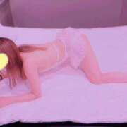 ヒメ日記 2026/01/24 15:30 投稿 柏木(かしわぎ)奥様 新潟人妻デリバリーヘルス下心