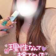 ヒメ日記 2025/11/29 12:29 投稿 みお 大阪和泉ちゃんこ