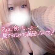 ヒメ日記 2025/12/18 13:19 投稿 みお 大阪和泉ちゃんこ