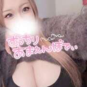 ヒメ日記 2025/12/23 15:19 投稿 みお 大阪和泉ちゃんこ