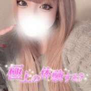 みお いっぱい 大阪和泉ちゃんこ