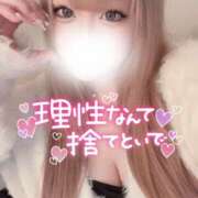 ヒメ日記 2026/01/31 16:49 投稿 みお 大阪和泉ちゃんこ