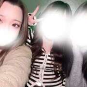 ヒメ日記 2026/02/24 15:23 投稿 みお 大阪和泉ちゃんこ