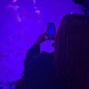 ヒメ日記 2026/03/13 17:19 投稿 みお 大阪和泉ちゃんこ