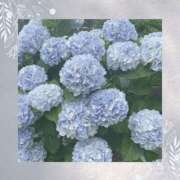 ヒメ日記 2025/07/02 18:20 投稿 ゆうみ THE ESUTE 五反田店