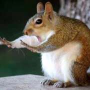 ヒメ日記 2025/11/04 12:23 投稿 ゆうみ THE ESUTE 五反田店