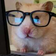 ヒメ日記 2025/11/21 11:30 投稿 ゆうみ THE ESUTE 五反田店