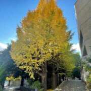 ヒメ日記 2025/12/12 08:20 投稿 ゆうみ THE ESUTE 五反田店