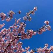 ヒメ日記 2026/03/11 11:50 投稿 ゆうみ THE ESUTE 五反田店