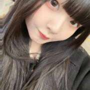 ヒメ日記 2025/02/12 12:21 投稿 ぷりん ジャパンクラブ富士