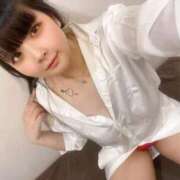 ヒメ日記 2026/04/01 11:17 投稿 ぷりん ジャパンクラブ富士