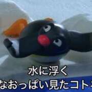 ヒメ日記 2026/08/27 06:42 投稿 ぷりん ジャパンクラブ富士