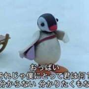 ヒメ日記 2026/08/29 06:42 投稿 ぷりん ジャパンクラブ富士