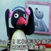 ヒメ日記 2026/09/12 06:42 投稿 ぷりん ジャパンクラブ富士