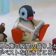ヒメ日記 2026/09/13 06:42 投稿 ぷりん ジャパンクラブ富士