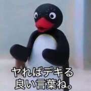 ヒメ日記 2026/09/14 06:47 投稿 ぷりん ジャパンクラブ富士
