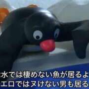 ヒメ日記 2026/09/16 06:42 投稿 ぷりん ジャパンクラブ富士