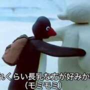 ヒメ日記 2026/09/25 07:22 投稿 ぷりん ジャパンクラブ富士