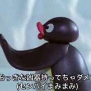 ヒメ日記 2026/09/29 07:42 投稿 ぷりん ジャパンクラブ富士
