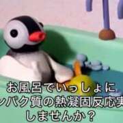 ヒメ日記 2026/10/02 07:19 投稿 ぷりん ジャパンクラブ富士