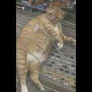 ヒメ日記 2024/12/15 12:11 投稿 あきほ 熟女の風俗最終章 仙台店