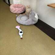 ヒメ日記 2025/03/17 17:28 投稿 あきほ 熟女の風俗最終章 仙台店