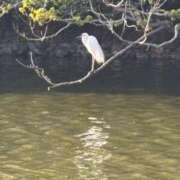 ヒメ日記 2025/05/10 13:14 投稿 あきほ 熟女の風俗最終章 仙台店