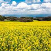 ヒメ日記 2025/05/14 04:04 投稿 あきほ 熟女の風俗最終章 仙台店
