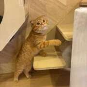 ヒメ日記 2025/05/18 21:14 投稿 あきほ 熟女の風俗最終章 仙台店