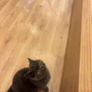 ヒメ日記 2025/05/19 16:35 投稿 あきほ 熟女の風俗最終章 仙台店