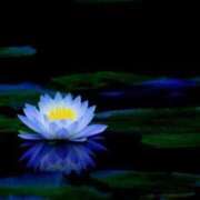 ヒメ日記 2025/08/24 22:45 投稿 あきほ 熟女の風俗最終章 仙台店